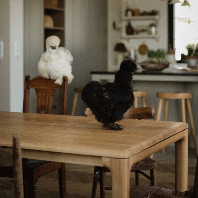 VENA Esstisch Eiche massiv