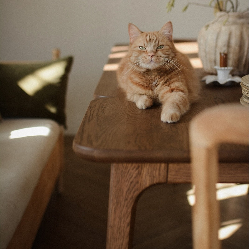 DUNO Esstisch Eiche massiv